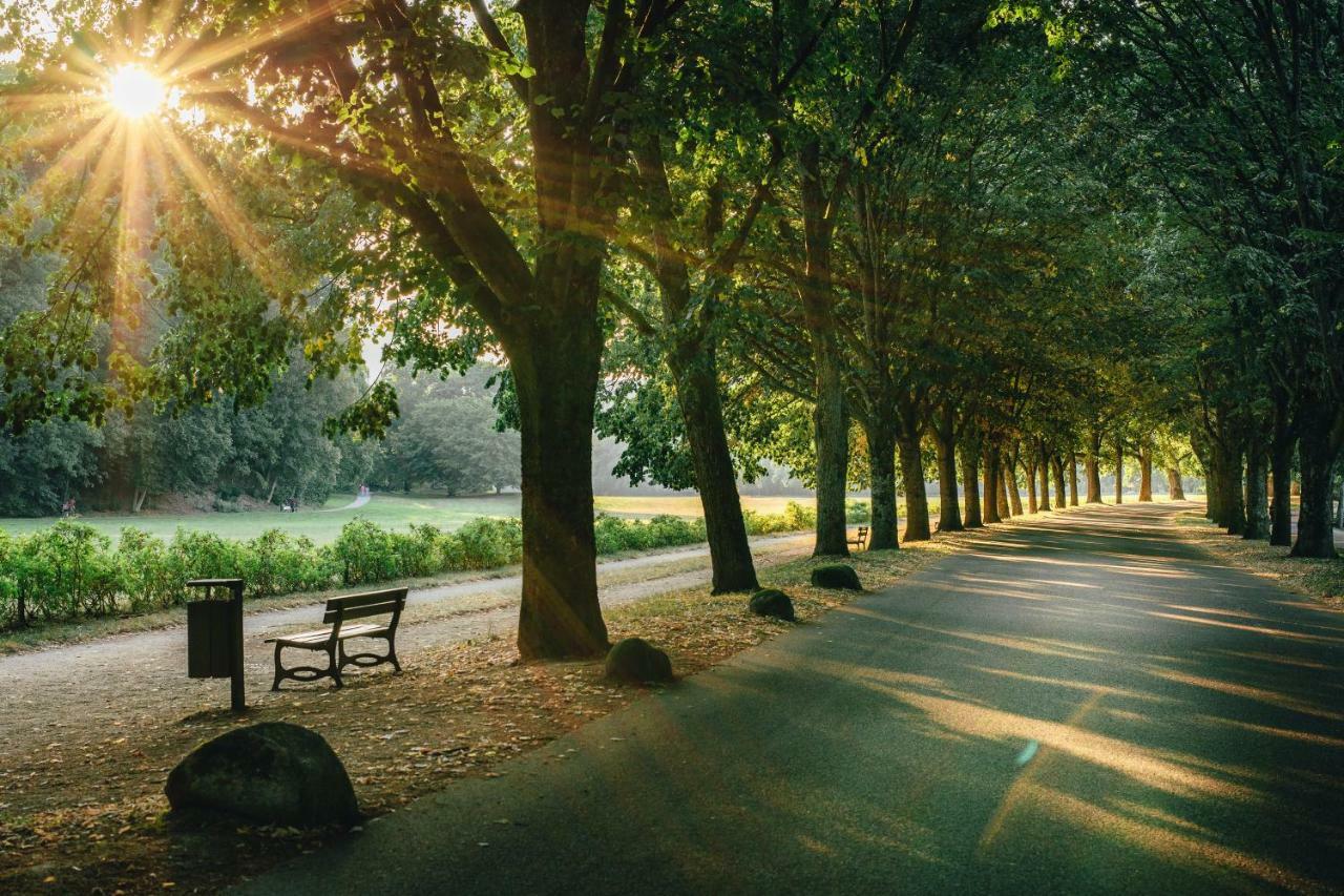 Allee * Baden-Baden